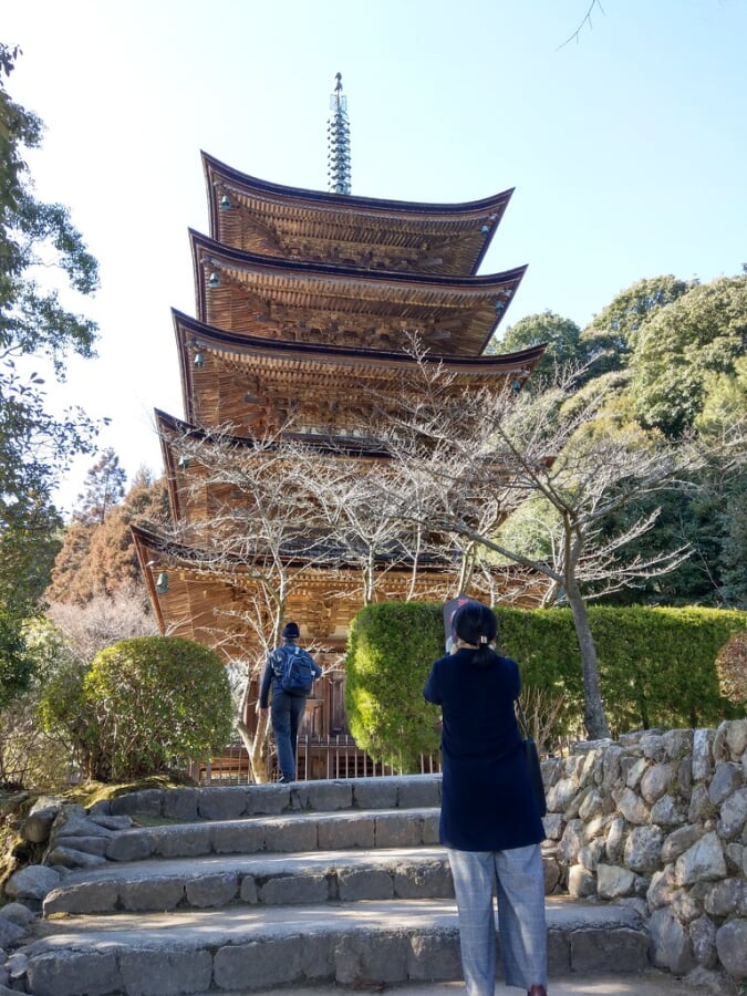 香山公園の写真3