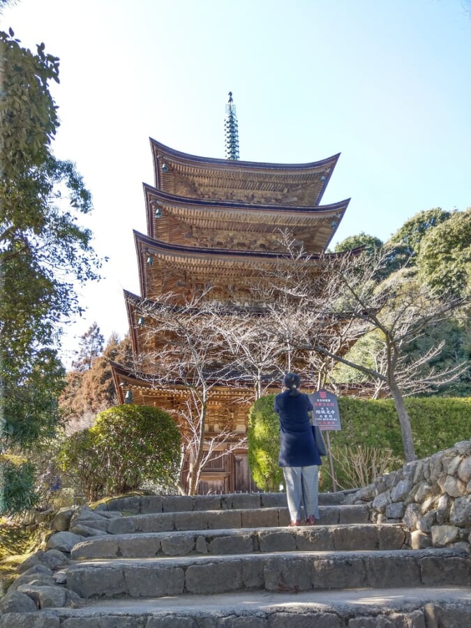 香山公園の写真1