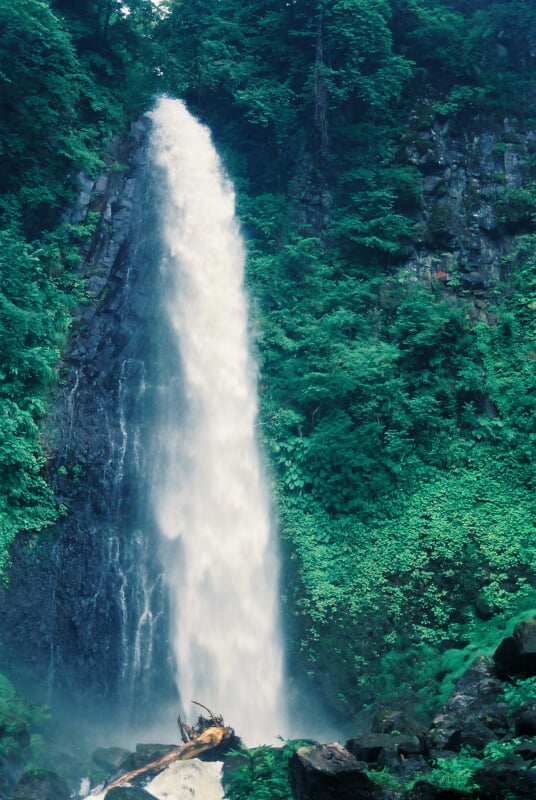 雨滝の写真2