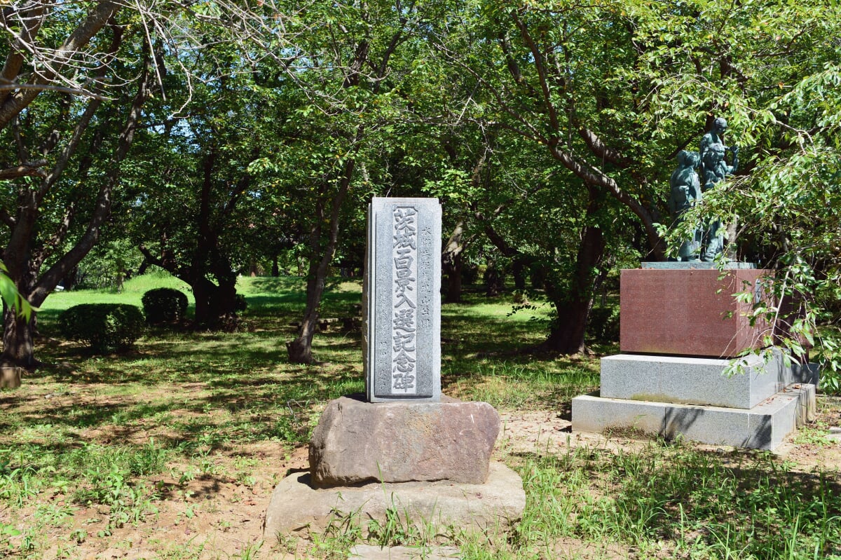 権現山公園の写真2