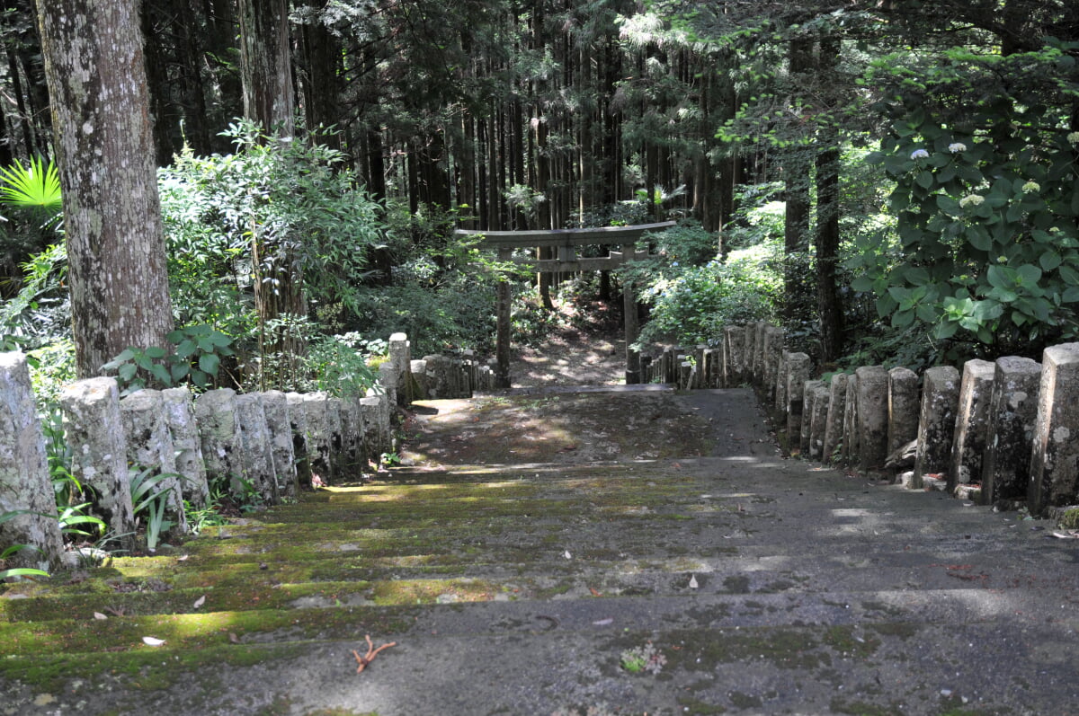 豊楽寺薬師堂の写真4