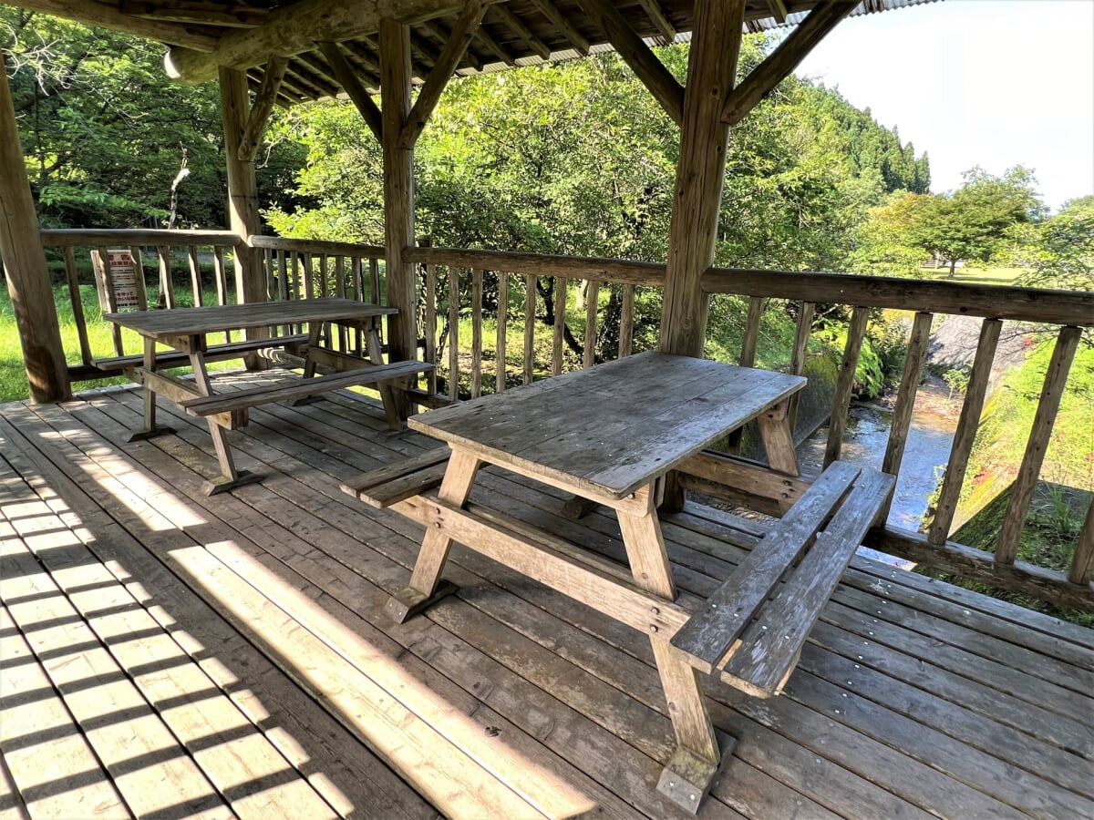 新居浜市民の森の写真3