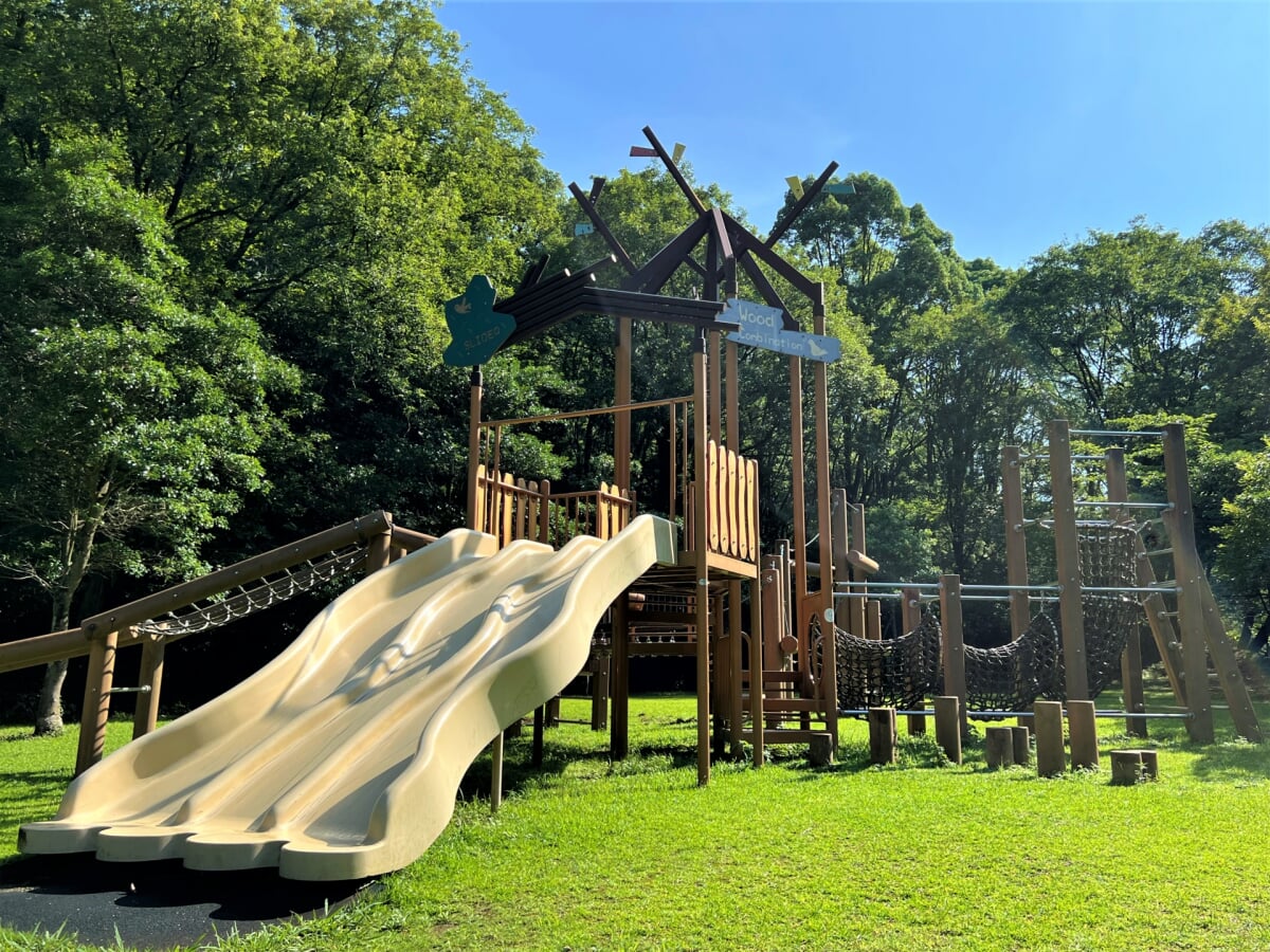 新居浜市民の森の写真7