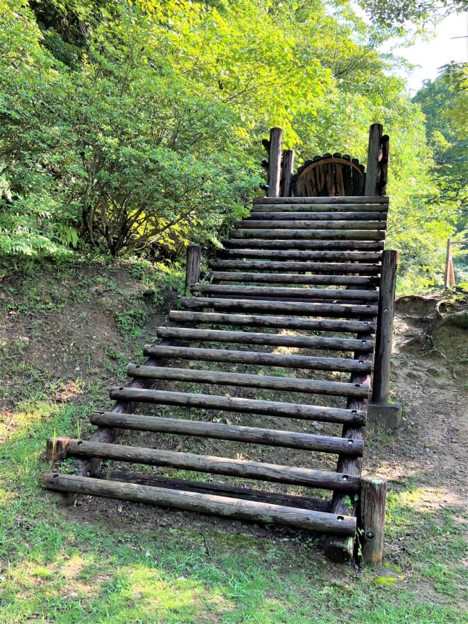 新居浜市民の森の写真8