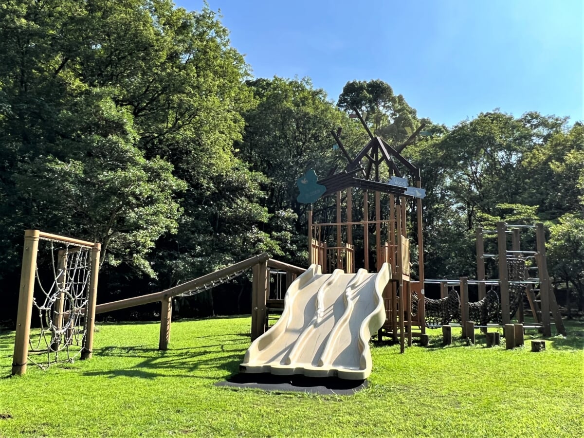 新居浜市民の森の写真12