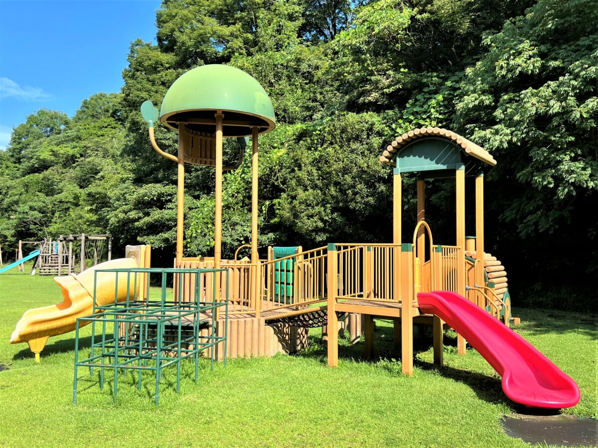 新居浜市民の森の写真17