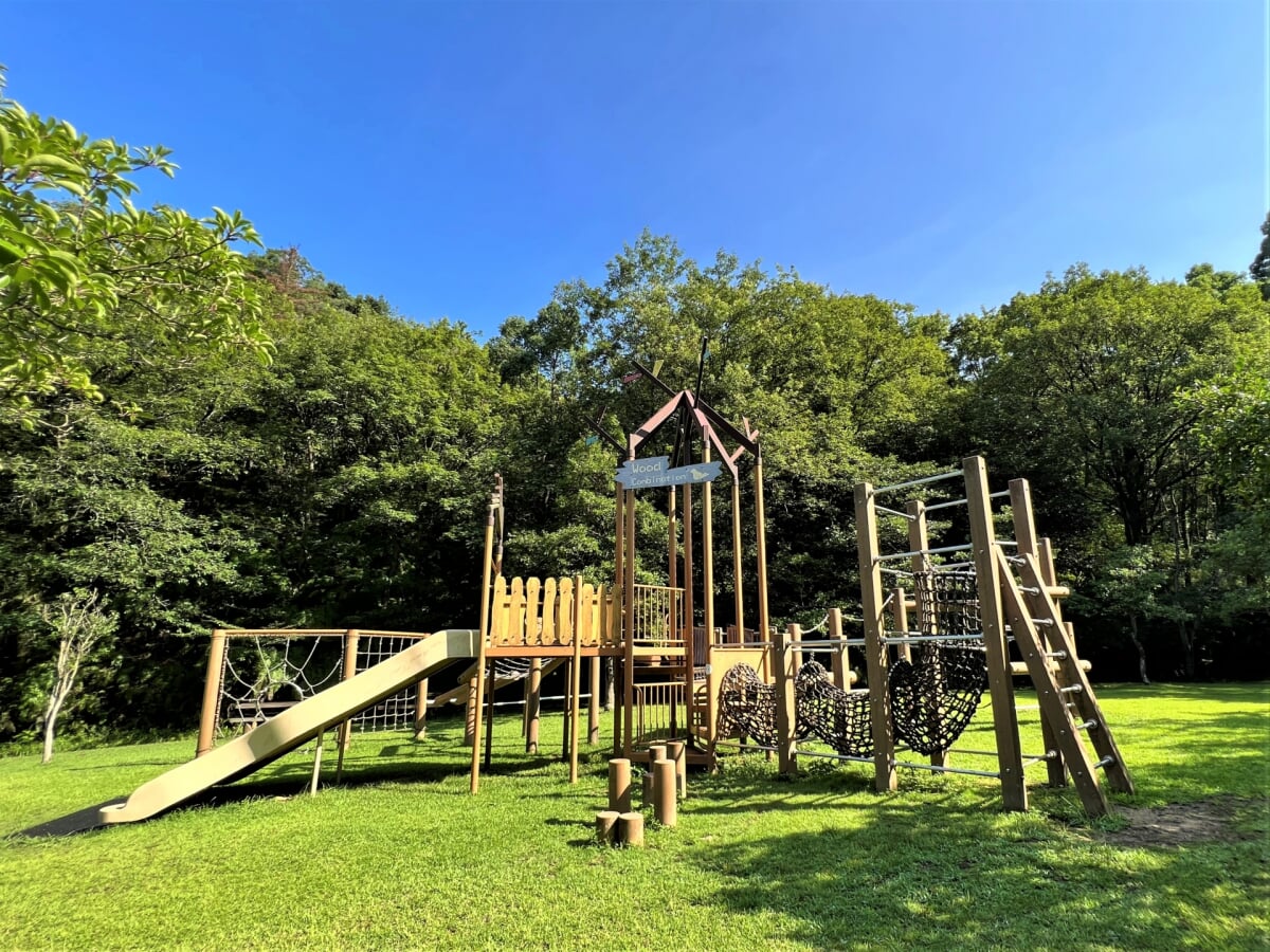 新居浜市民の森の写真18