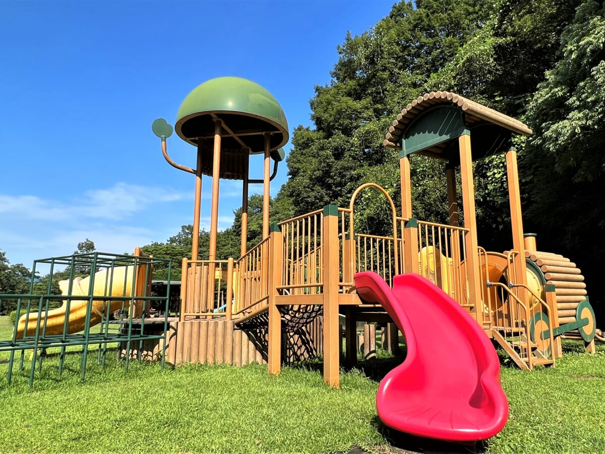 新居浜市民の森の写真1