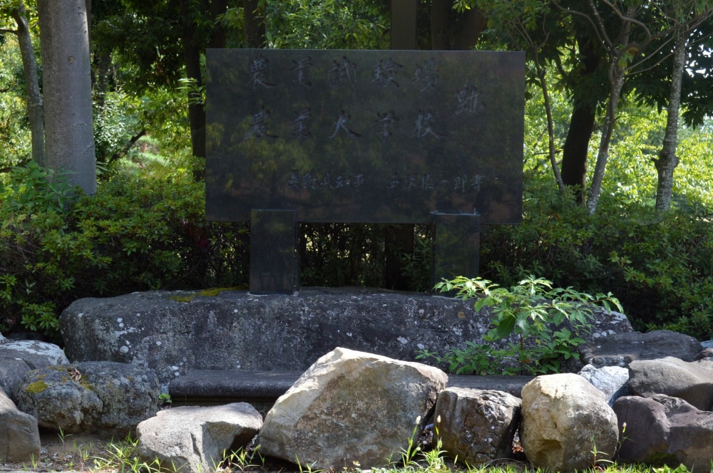 若里公園の写真3