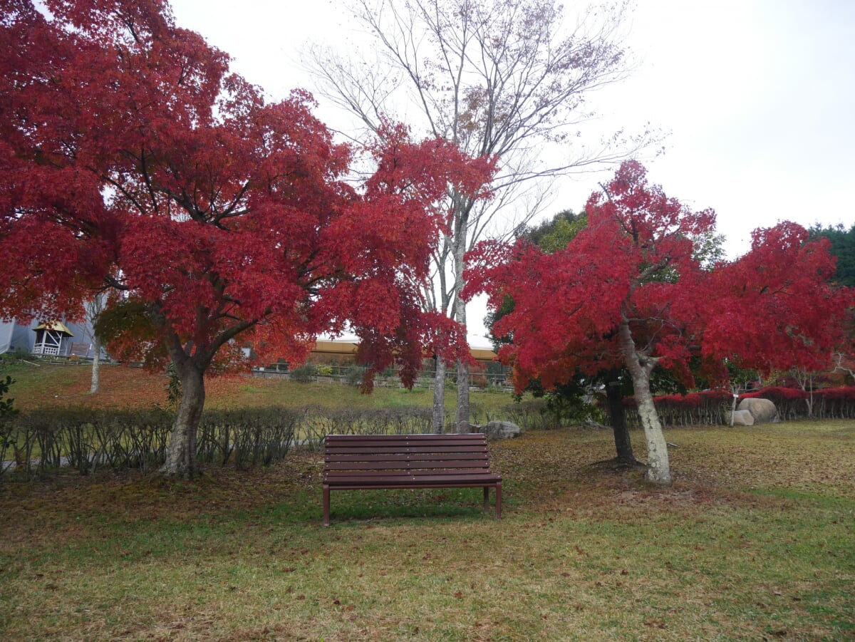 まきばの館(岡山県農林水産総合センター畜産研究所)の写真2