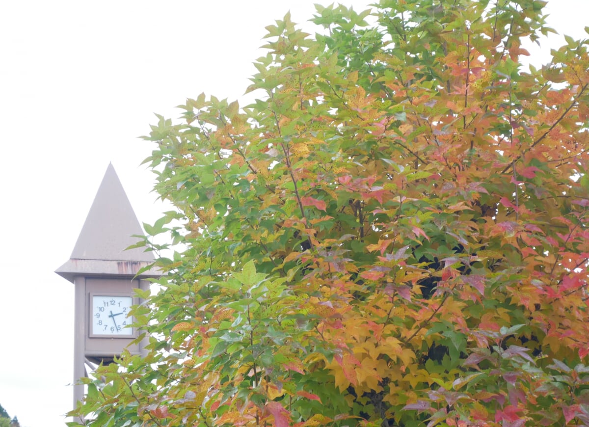 まきばの館(岡山県農林水産総合センター畜産研究所)の写真4