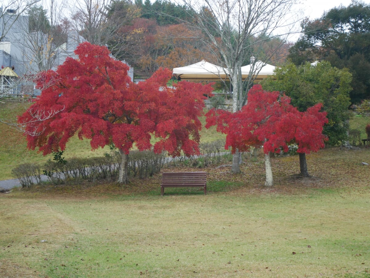 まきばの館(岡山県農林水産総合センター畜産研究所)の写真9