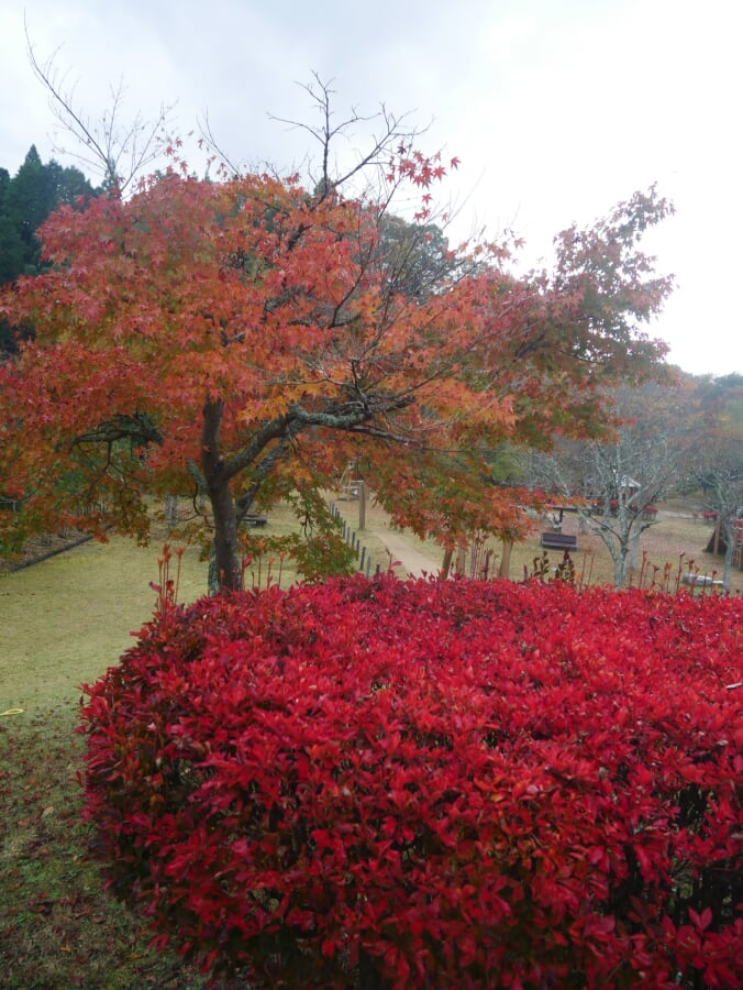 まきばの館(岡山県農林水産総合センター畜産研究所)の写真10