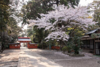 息栖神社