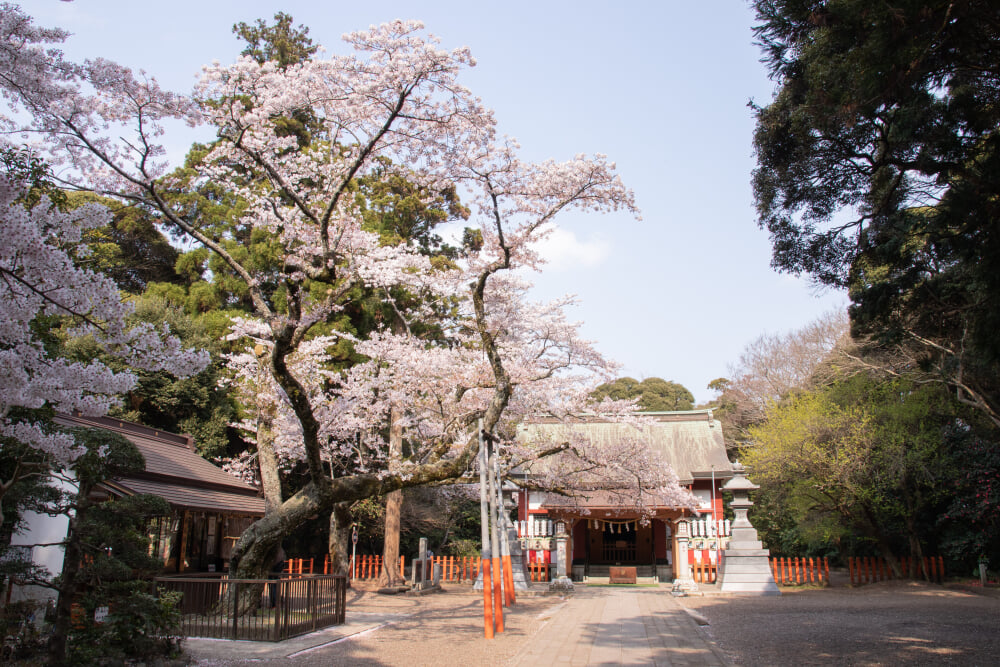 息栖神社の写真6