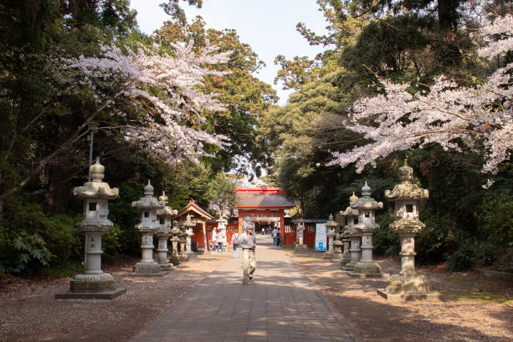 息栖神社の写真7