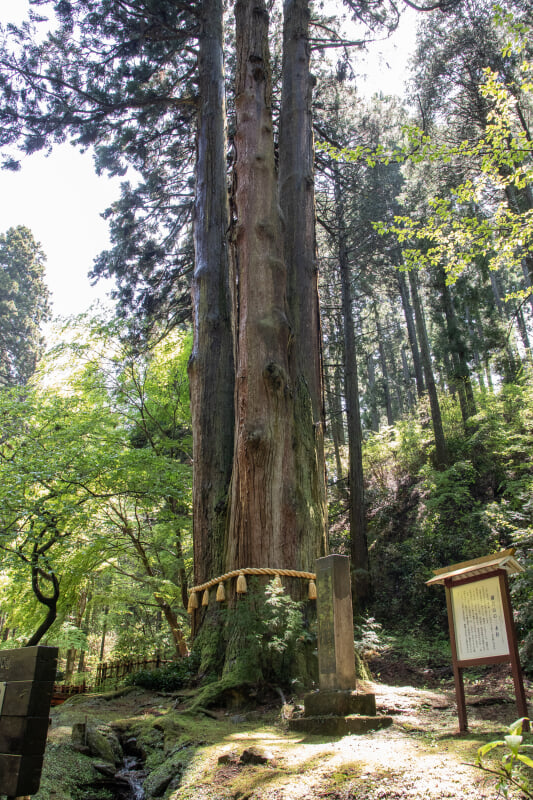 御岩神社の写真3