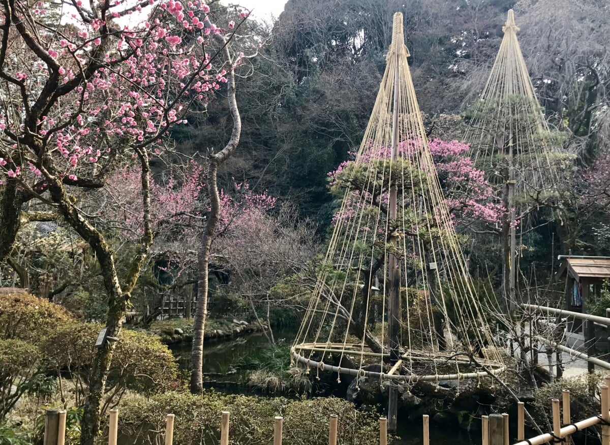 京王百草園の写真3