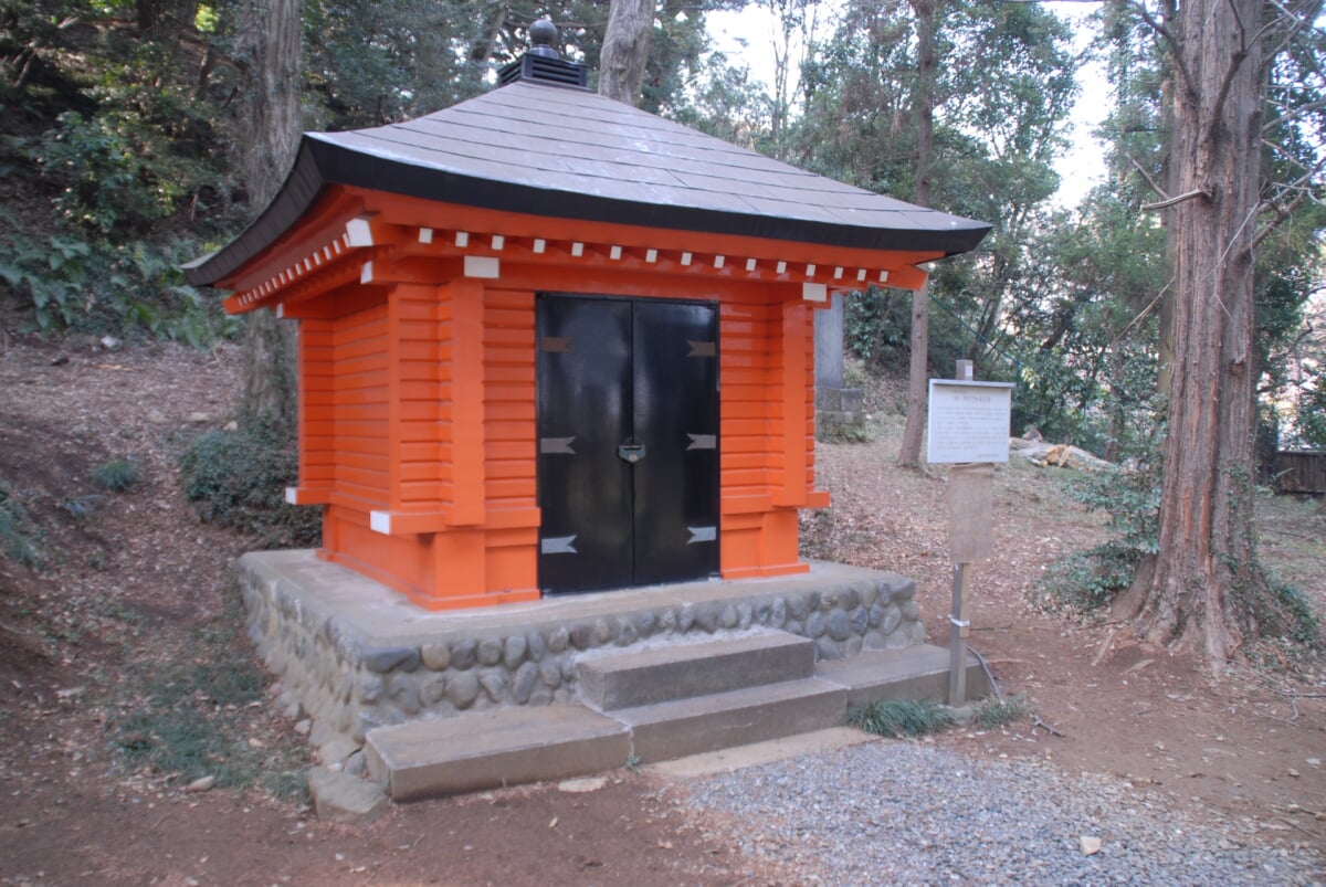 京王百草園の写真6