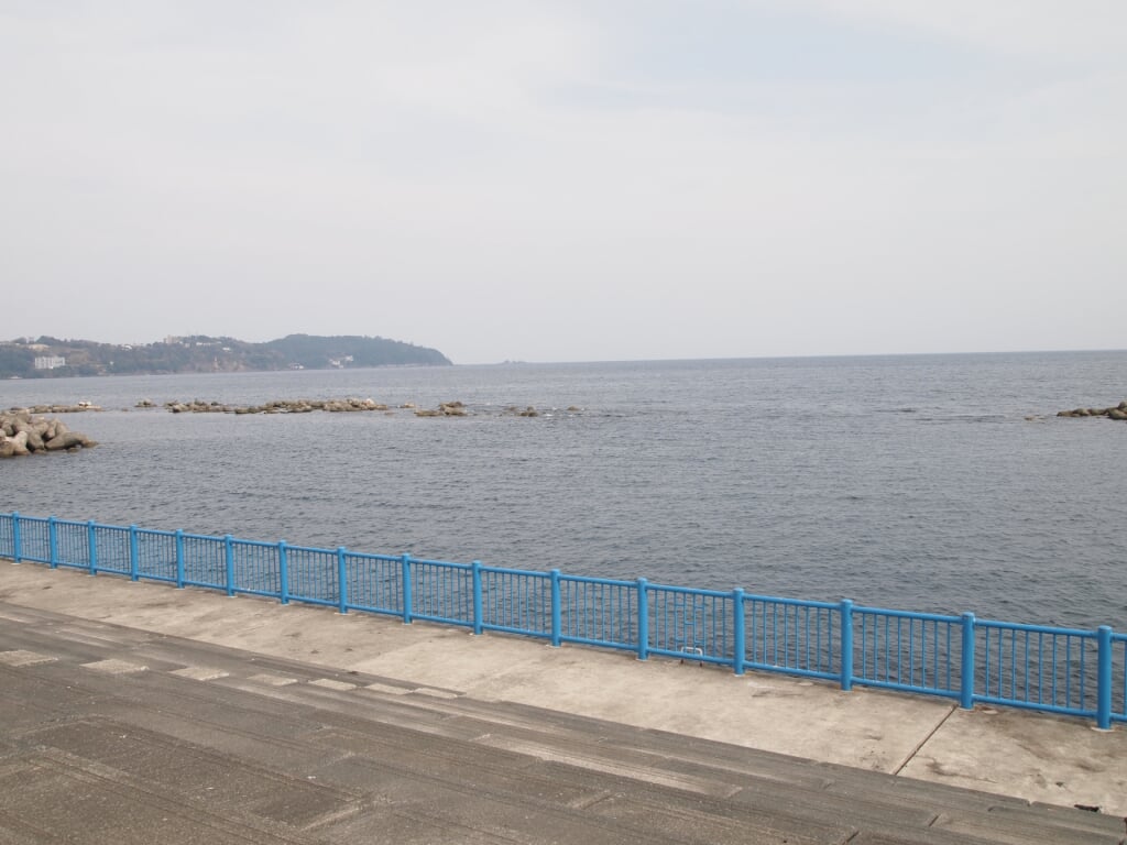 湯河原海浜公園の写真1