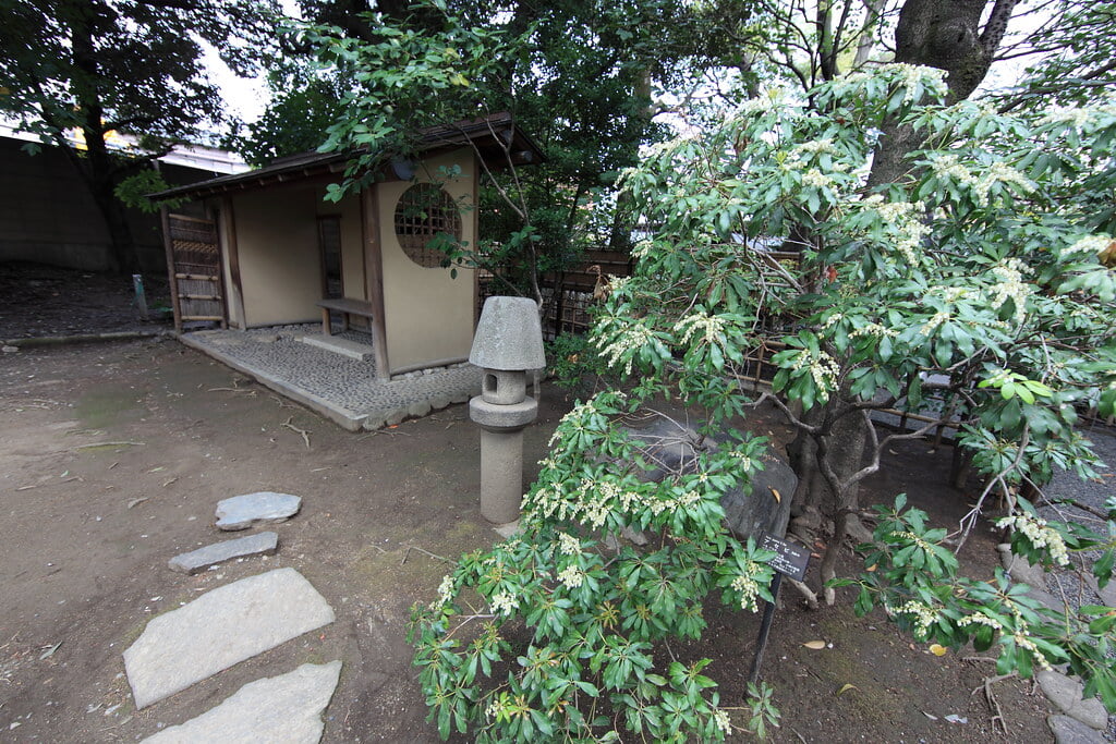 星渓園の写真10