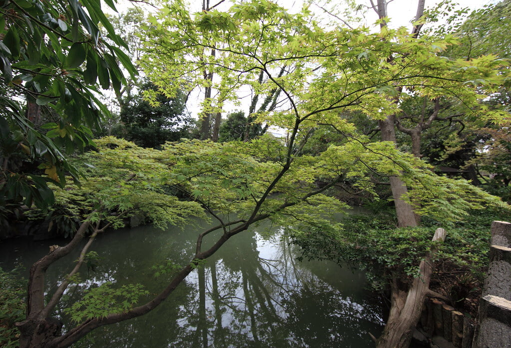 星渓園の写真15