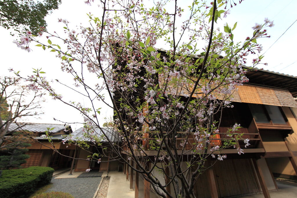 星渓園の写真16