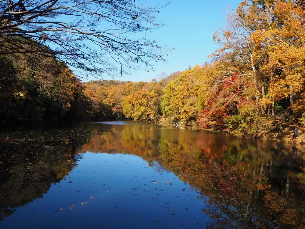 震生湖公園の写真1
