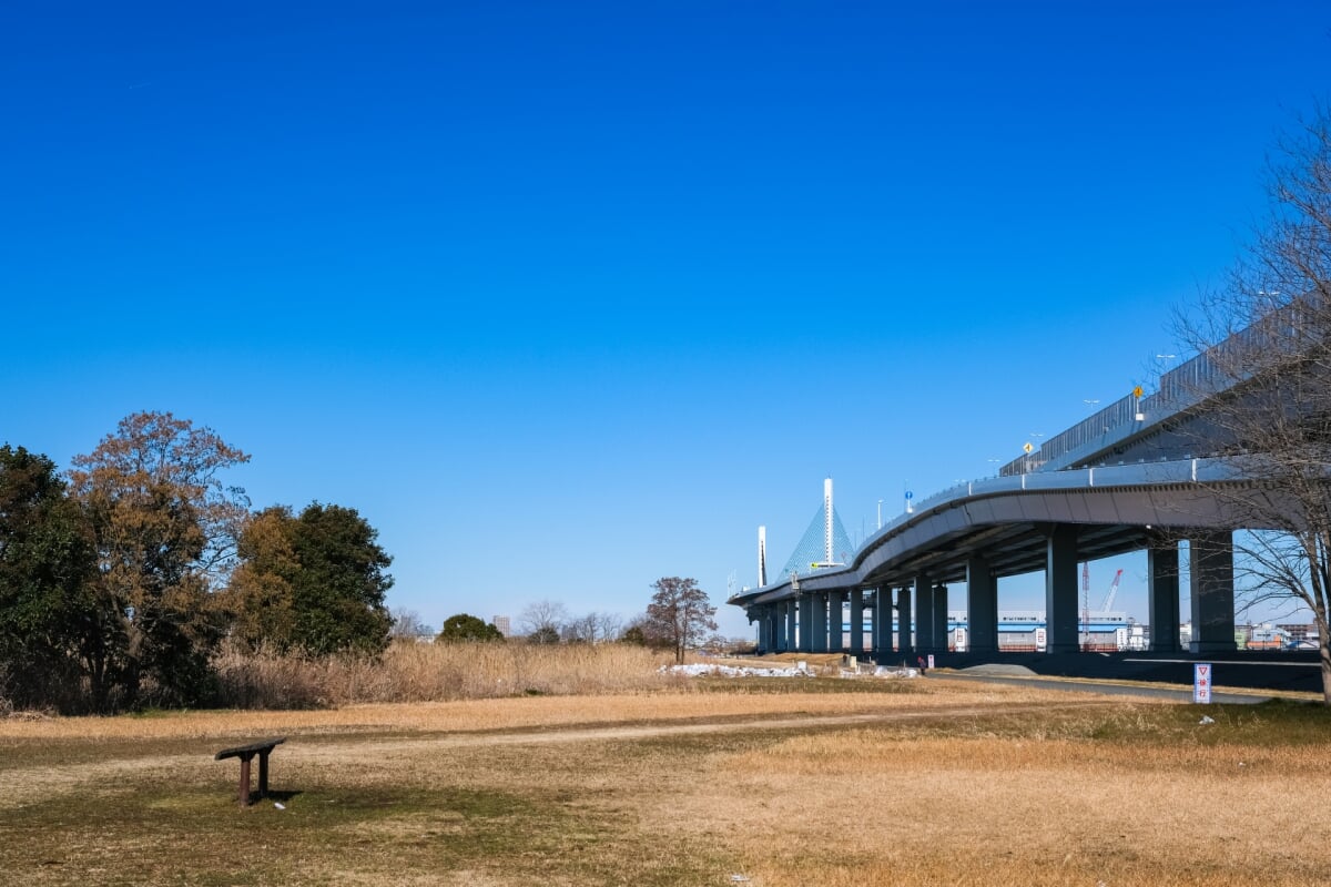 葛飾あらかわ水辺公園の写真1