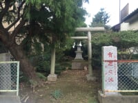 有鹿神社