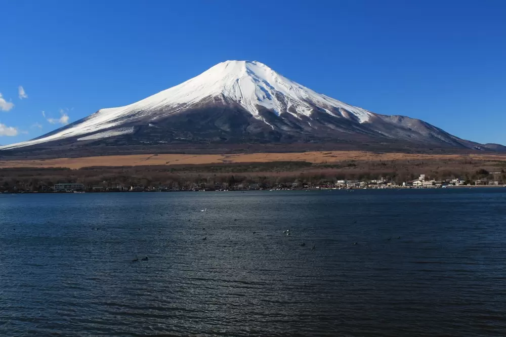 長池親水公園の写真1