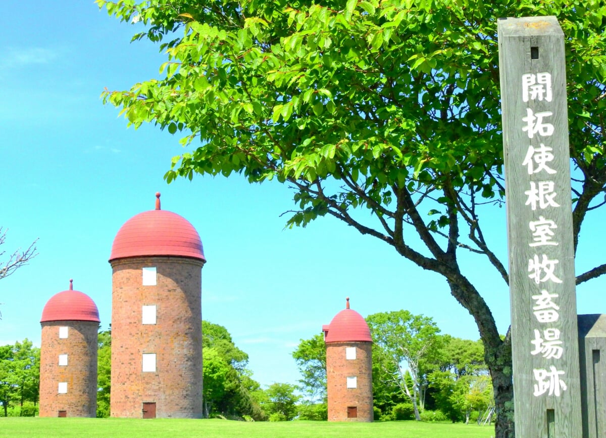 明治公園の写真4