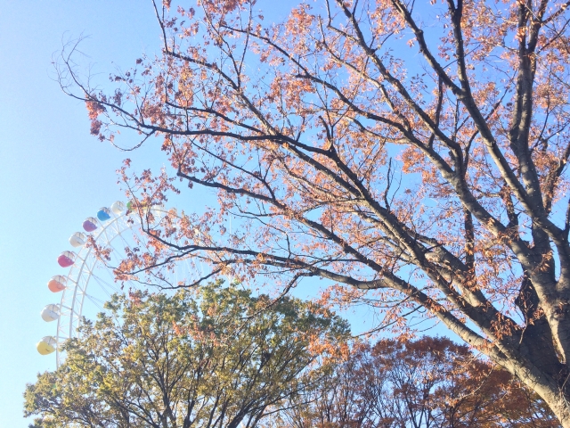 よみうりランドの写真6