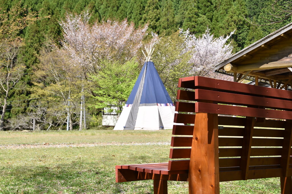 阿波森林公園の写真3