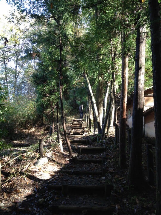 豊蔵資料館の写真3