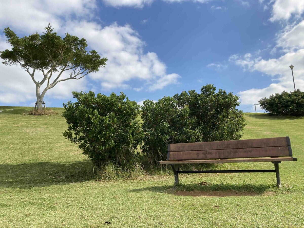 セーラの森公園の写真2
