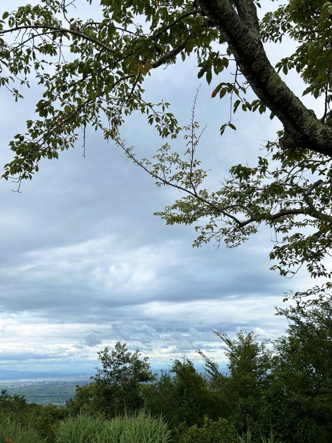 庭田山頂公園の写真2
