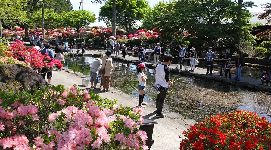 林養魚場 ますつり公園の写真1