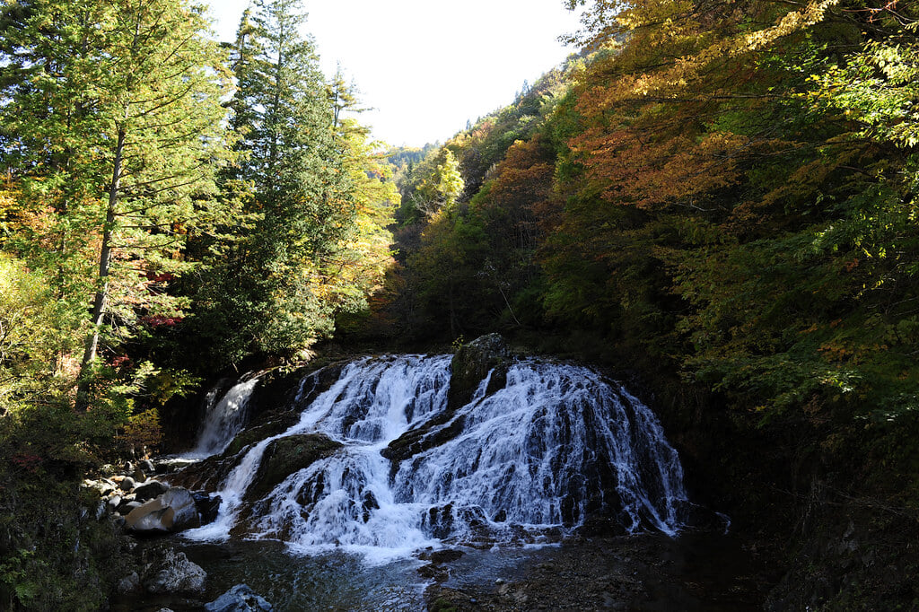 魚帰りの滝の写真1