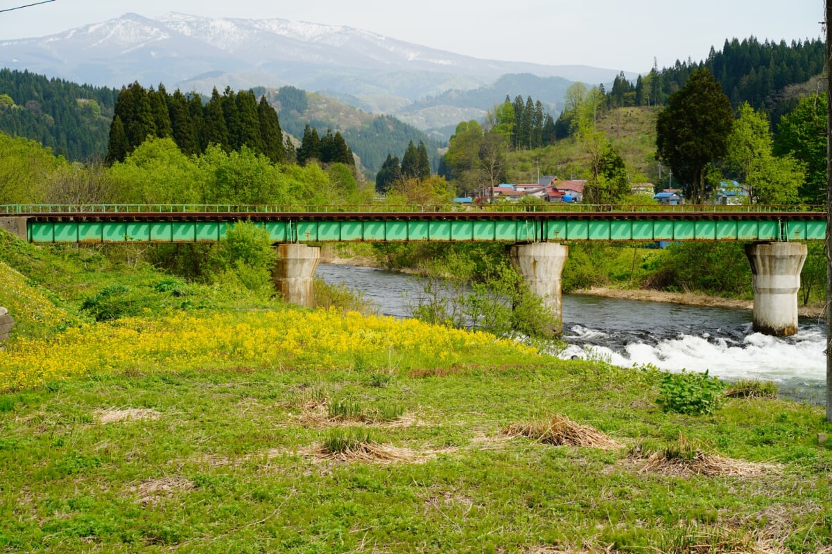 阿仁川桜づつみ公園の写真1