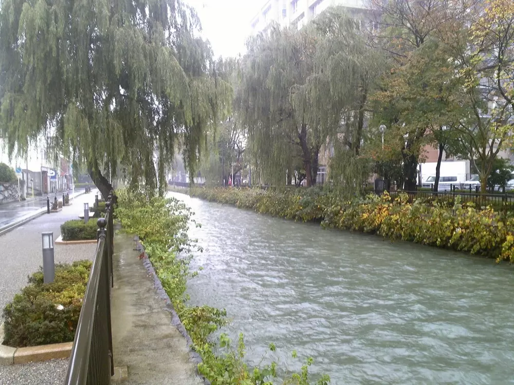 広瀬川河畔緑地の写真1