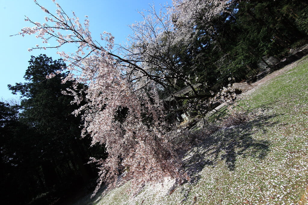 箕輪城跡の写真2