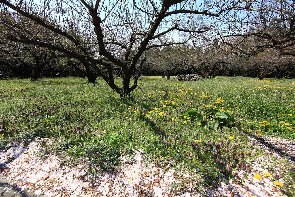 箕輪城跡の写真1