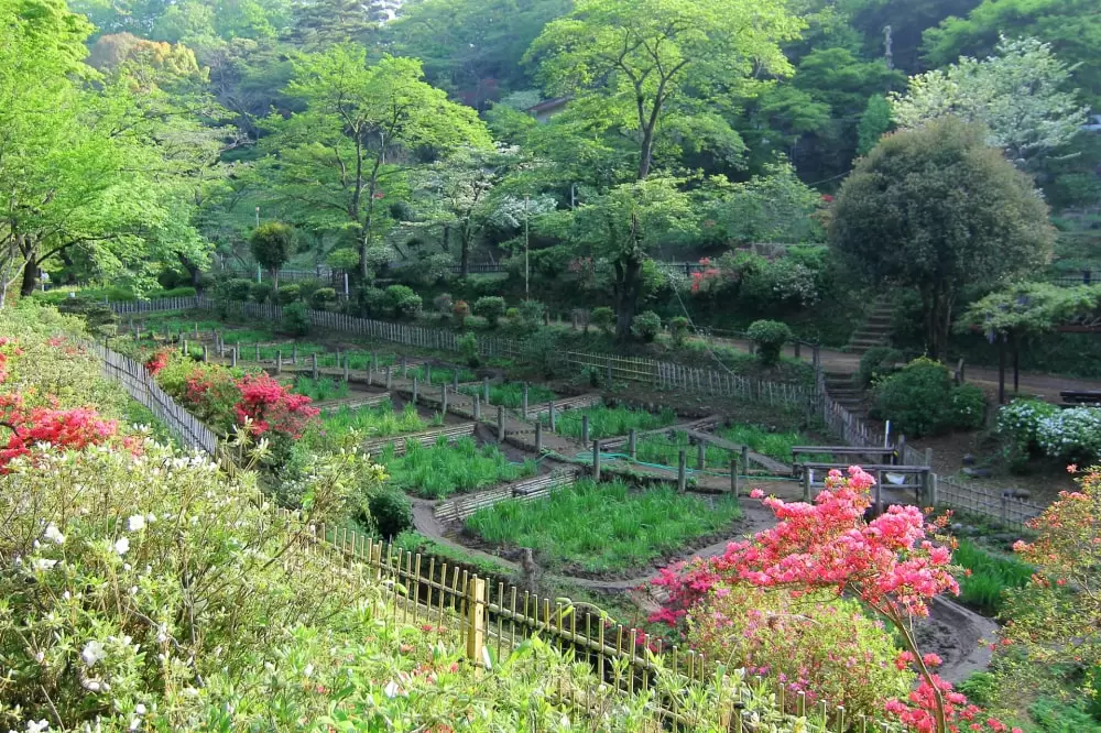 吾妻公園の写真1