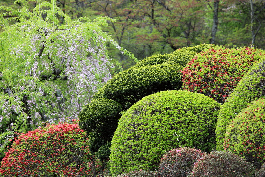 榊山稲荷神社の写真3