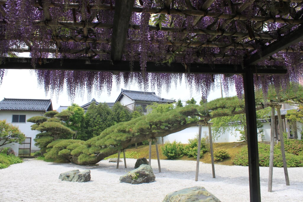 念珠の松庭園の写真5