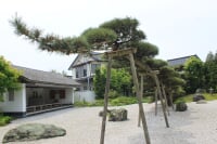 念珠の松庭園