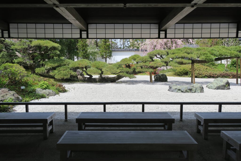 念珠の松庭園の写真8