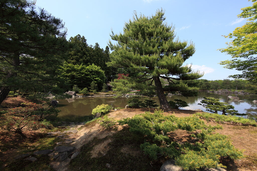 浄楽園の写真11