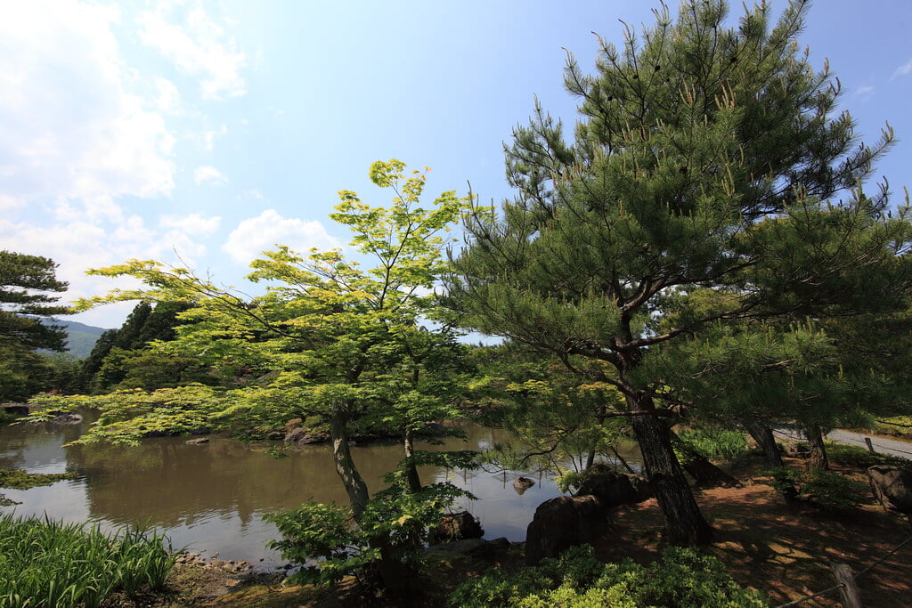 浄楽園の写真12